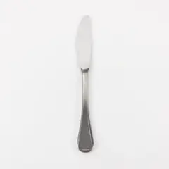 WMF Spain Stainless Steel Hollow Handle Dinner Knife