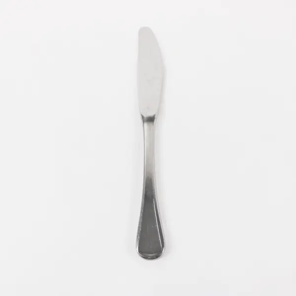 WMF Spain Stainless Steel Hollow Handle Dinner Knife