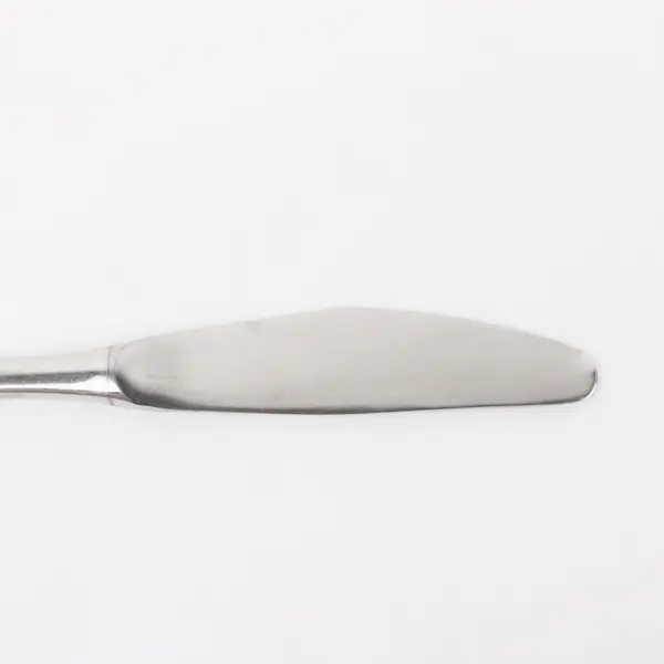 WMF Spain Stainless Steel Hollow Handle Dinner Knife