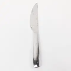 Single Stainless Steel Dinner Knife 9.5 Inch Polished Flatware