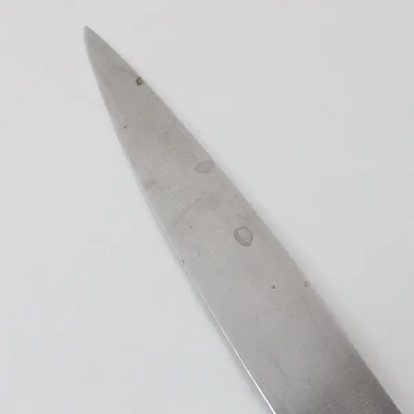 Cuisinart C77SS-SL-25K-1 Stainless Steel Carving Knife