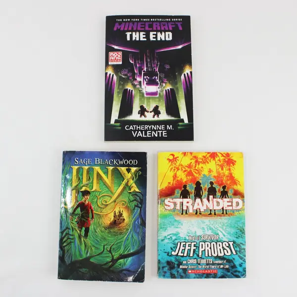 Lot of 3 Paperback Books Stranded Jinx Minecraft The End Young Readers