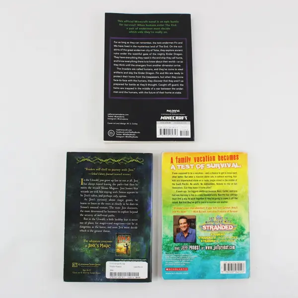 Lot of 3 Paperback Books Stranded Jinx Minecraft The End Young Readers