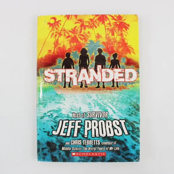 Lot of 3 Paperback Books Stranded Jinx Minecraft The End Young Readers