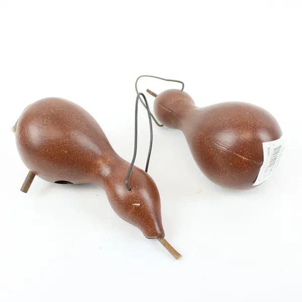 Ohio Wholesale Inc Lot of 6 Dried Decorative Bottle Gourds Craft Decor