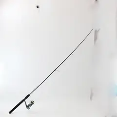 Shakespeare Ugly Stik GX2 Fishing Rod w/ Pflueger 6935 President Reel Combo