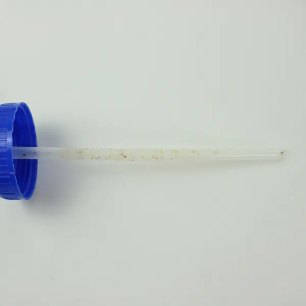 USWest Promotional Blue White Sports Water Bottle With Flexible Straw