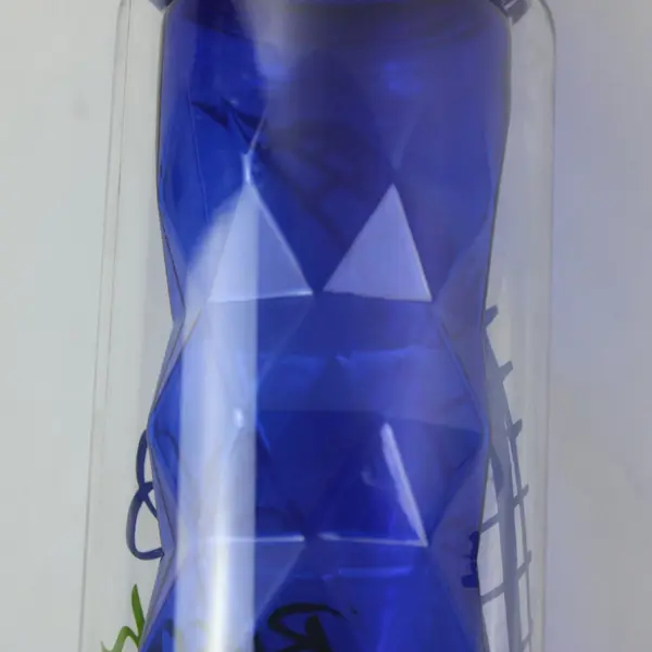 Busch Gardens Souvenir Water Bottle Blue Green Built-In Straw