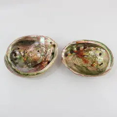 Lot of 2 Red Abalone Shells 7.5in & 8in Coastal Decor Flawed