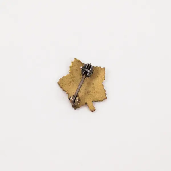 Vintage Royal Neighbors of America FUCEM Maple Leaf Enamel Pin