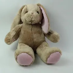 Build-A-Bear Pawlette Bunny Rabbit Plush Stuffed Animal Cream