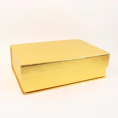 Habitat Gold Textured Hinged Lid Storage Box Organizer