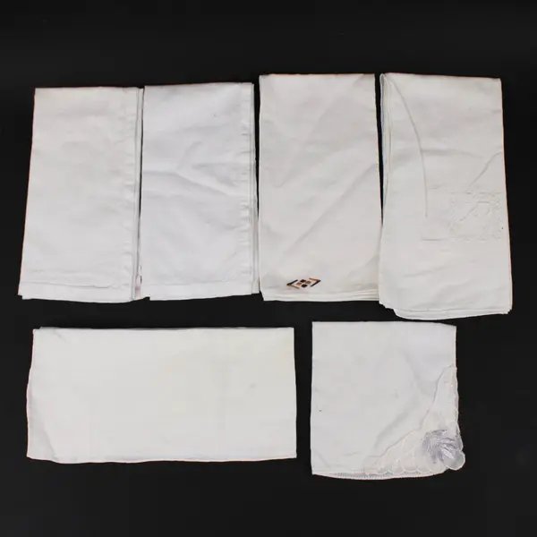 Lot of 6 Embroidered Linen Napkins White Ivory