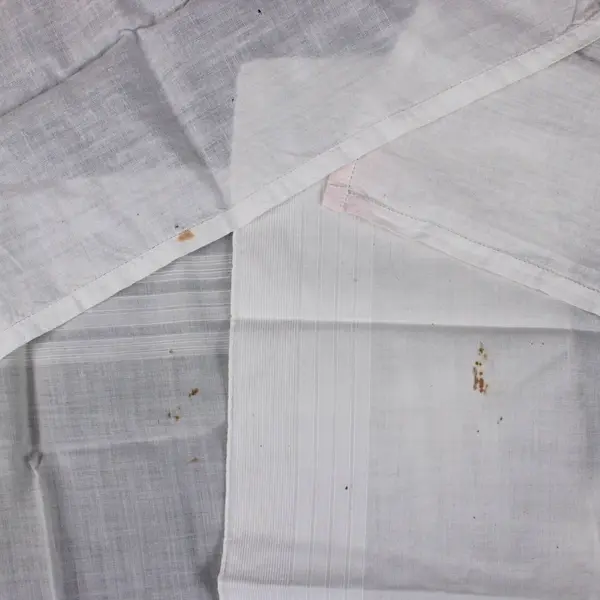 Lot of 6 Embroidered Linen Napkins White Ivory