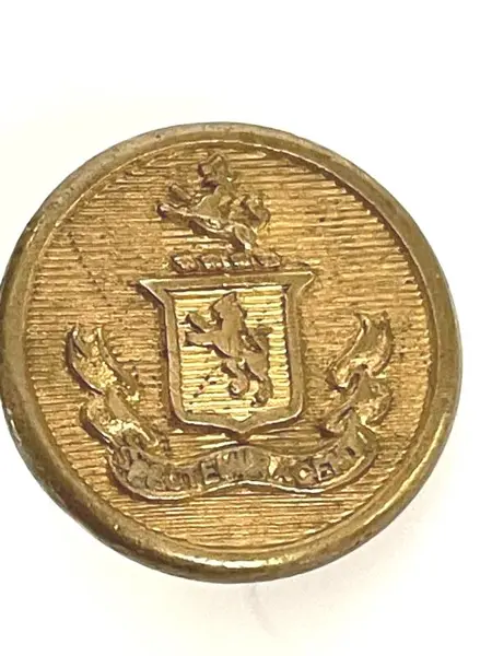 Vintage Round Superior Quality Brass Blazer Button Made In England Lion Crest