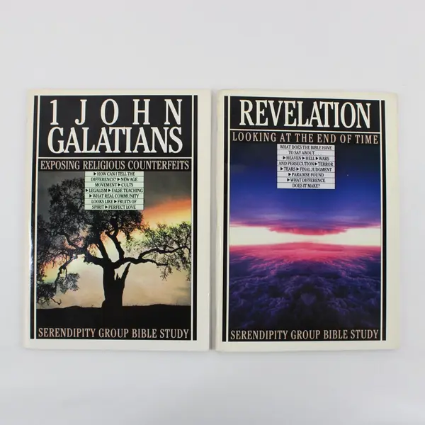 Lot of 4 Serendipity Group Bible Study Books 1989 Paperback Church Discussion