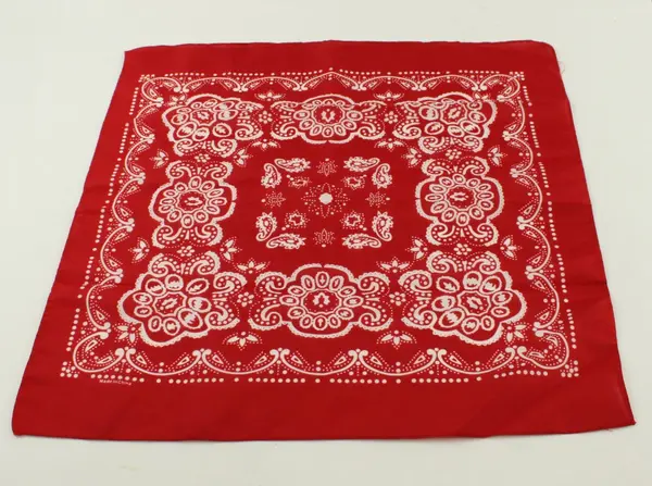 Oriental Trading Co BS200 1017 Red Polyester Paisley Bandana