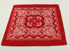 Oriental Trading Co BS200 1017 Red Polyester Paisley Bandana