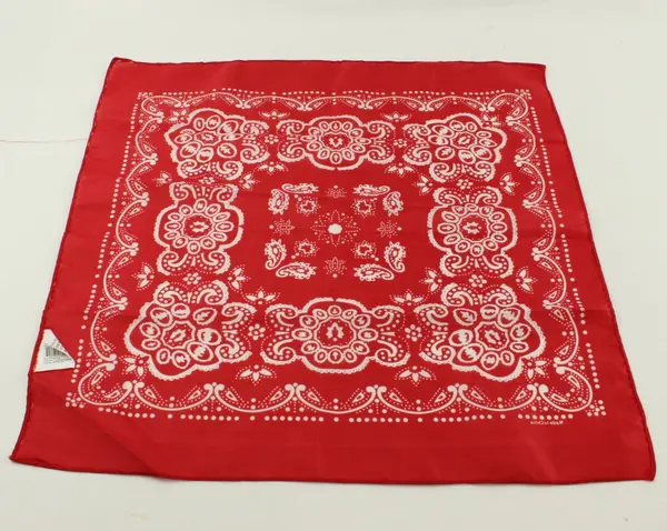 Oriental Trading Co BS200 1017 Red Polyester Paisley Bandana