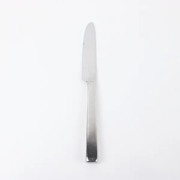 Reed & Barton China Silver Ridge 18/10 Stainless Steel Table Knife 9.5"