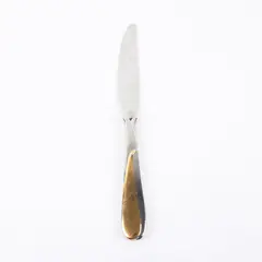 Yamazaki Victoria Gold Stainless Steel Table Knife Japan 9.10in