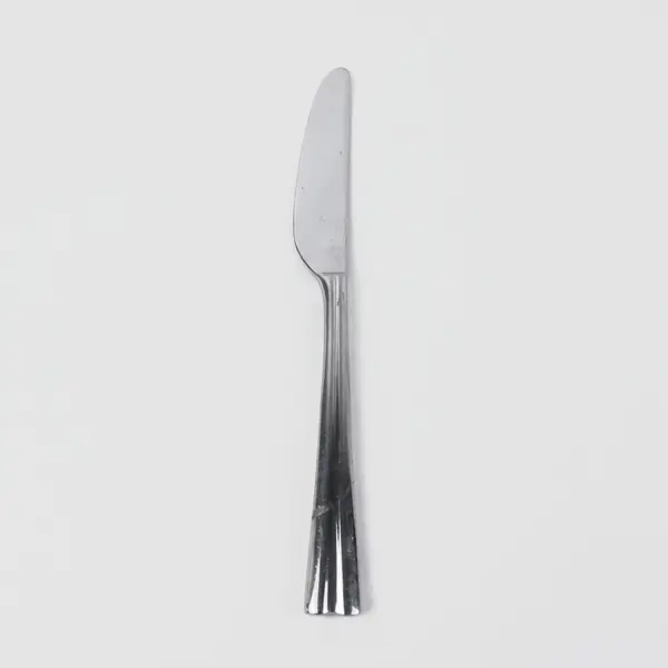 Reed & Barton Stainless Steel China Dinner Knife 9.1"