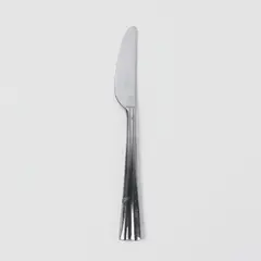 Reed & Barton Stainless Steel China Dinner Knife 9.1"