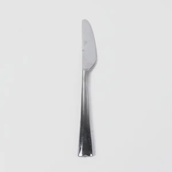 Reed & Barton Stainless Steel China Dinner Knife 9.1"