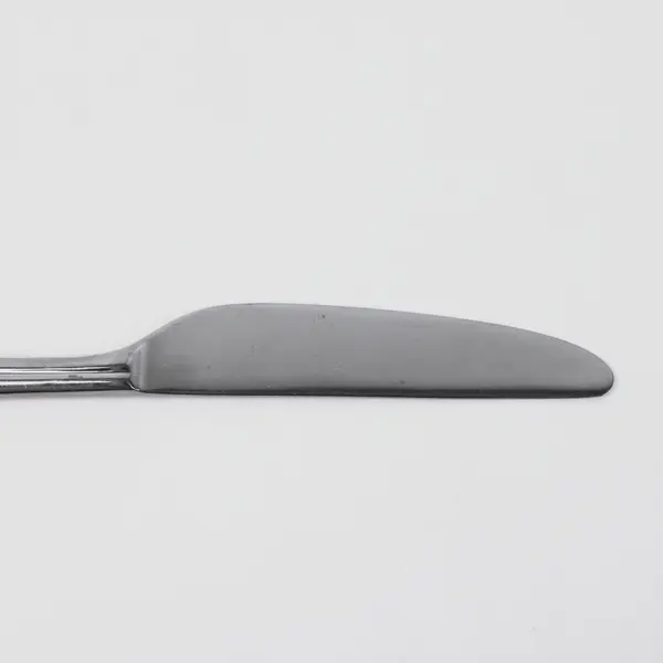 Reed & Barton Stainless Steel China Dinner Knife 9.1"