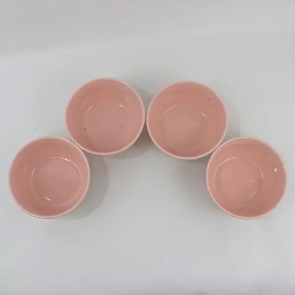 Set of 4 Project 62 Avesta Pink Stoneware Bowls  6.25 Inch