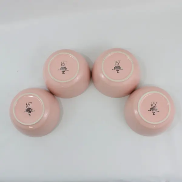 Set of 4 Project 62 Avesta Pink Stoneware Bowls  6.25 Inch