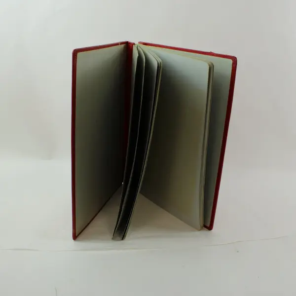 Red Leather Ledger Journal with Gold Accents Preowned