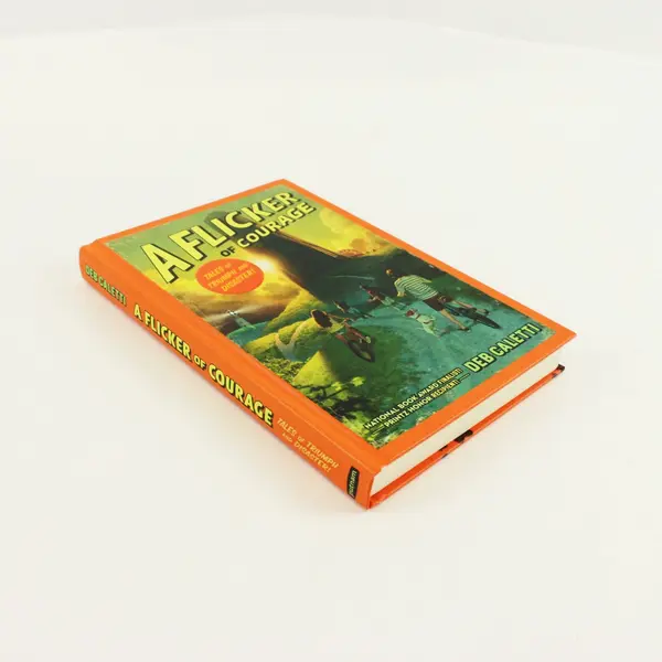 A Flicker of Courage Fantasy Novel Children's HC Book 2020, Deb Caletti 