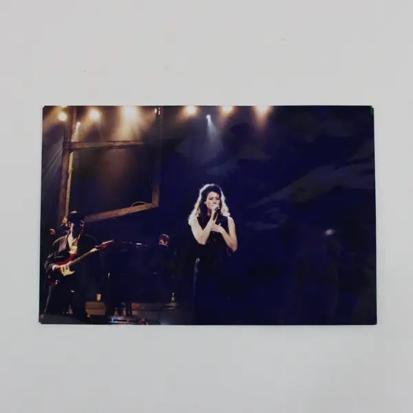 Amy Grant 1994 Concert Photograph Print 4x6 Music Memorabilia