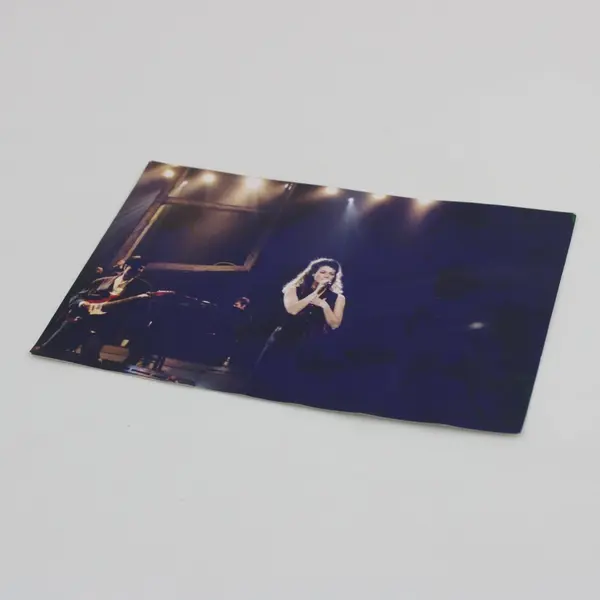 Amy Grant 1994 Concert Photograph Print 4x6 Music Memorabilia