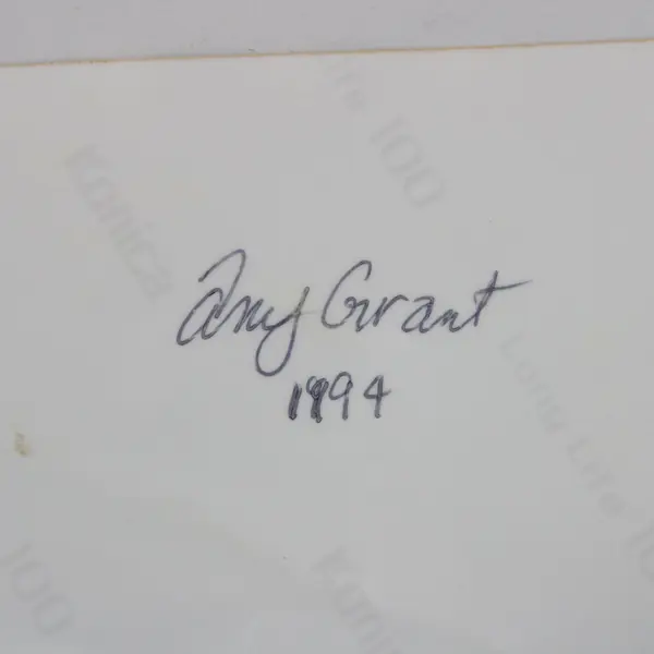 Amy Grant 1994 Concert Photograph Print 4x6 Music Memorabilia