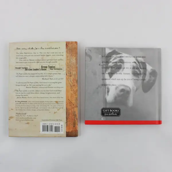 Lot of 2 Hardcover Gift Books Prayer for Teens (2001) Puppy Dogs (2002)