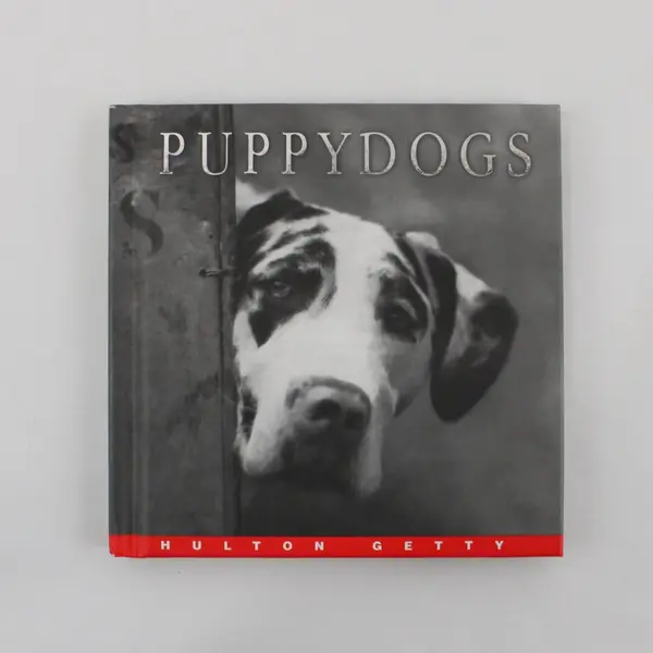 Lot of 2 Hardcover Gift Books Prayer for Teens (2001) Puppy Dogs (2002)