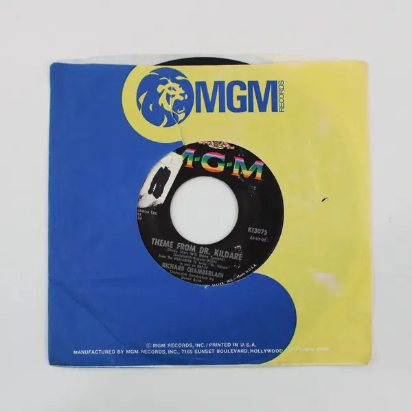 Richard Chamberlain Theme From Dr. Kildare/ A Kiss To Build A Dream On 7" Vinyl