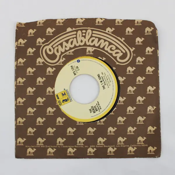 The Beach Boys Rock And Roll Music/ The T  M  Song  7" Vinyl Record Reprise.