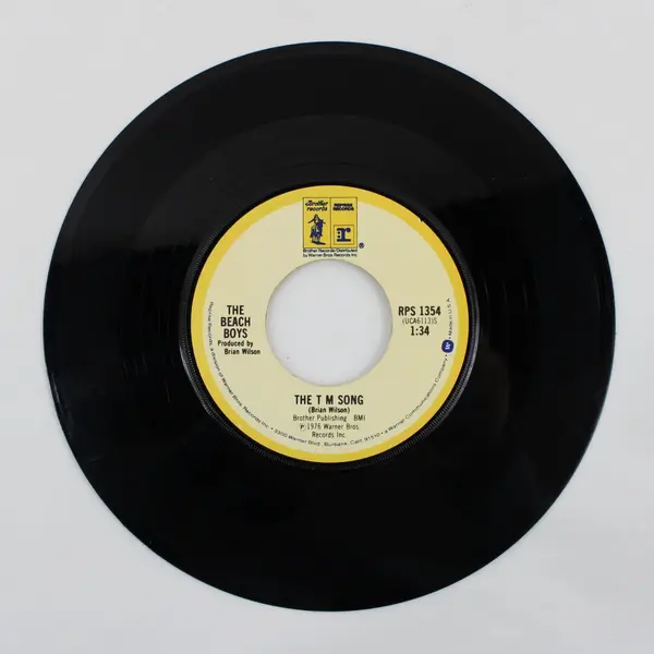 The Beach Boys Rock And Roll Music/ The T  M  Song  7" Vinyl Record Reprise.