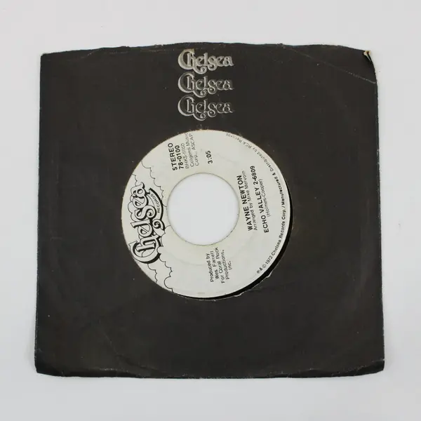 Wayne Newton Daddy Don't You Walk So Fast / Echo Valley 7" Vinyl Chelsea 