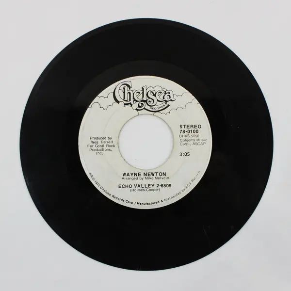 Wayne Newton Daddy Don't You Walk So Fast / Echo Valley 7" Vinyl Chelsea 