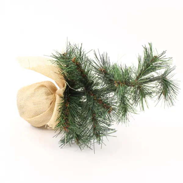 Artificial Pine Christmas Tree 10in Tabletop Burlap Base Holiday Decor