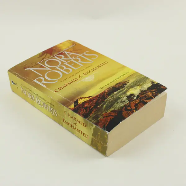 Lot of 4 Nora Roberts Romance Novels Fiction Paperback Books 2004-2011