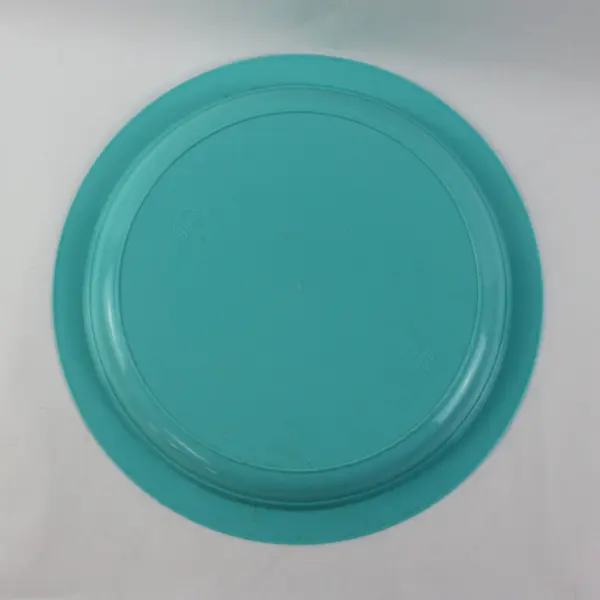 Bemis Plastic Plates Set of 2 Purple Turquoise Raised Rim 10.5"