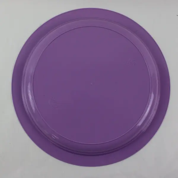 Bemis Plastic Plates Set of 2 Purple Turquoise Raised Rim 10.5"