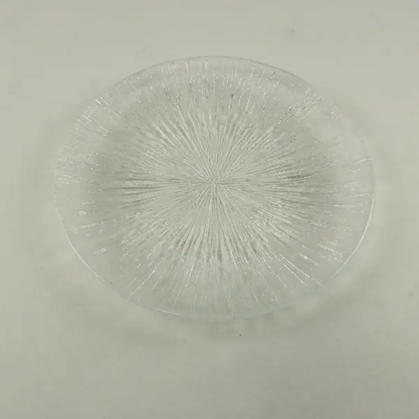 Sasaki Rain Glass Clear Textured Plates Set of 4
