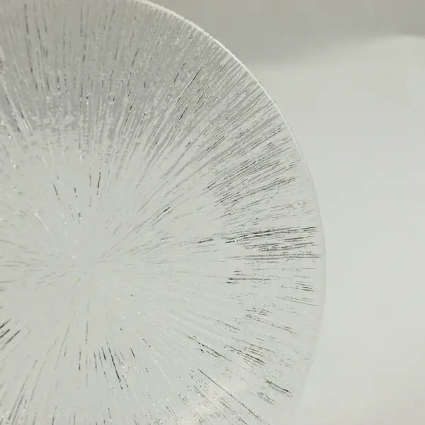 Sasaki Rain Glass Clear Textured Plates Set of 4