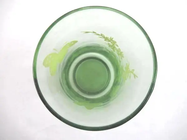 Libbey Vintage Green Juice Glasses Butterfly Floral Set of 2